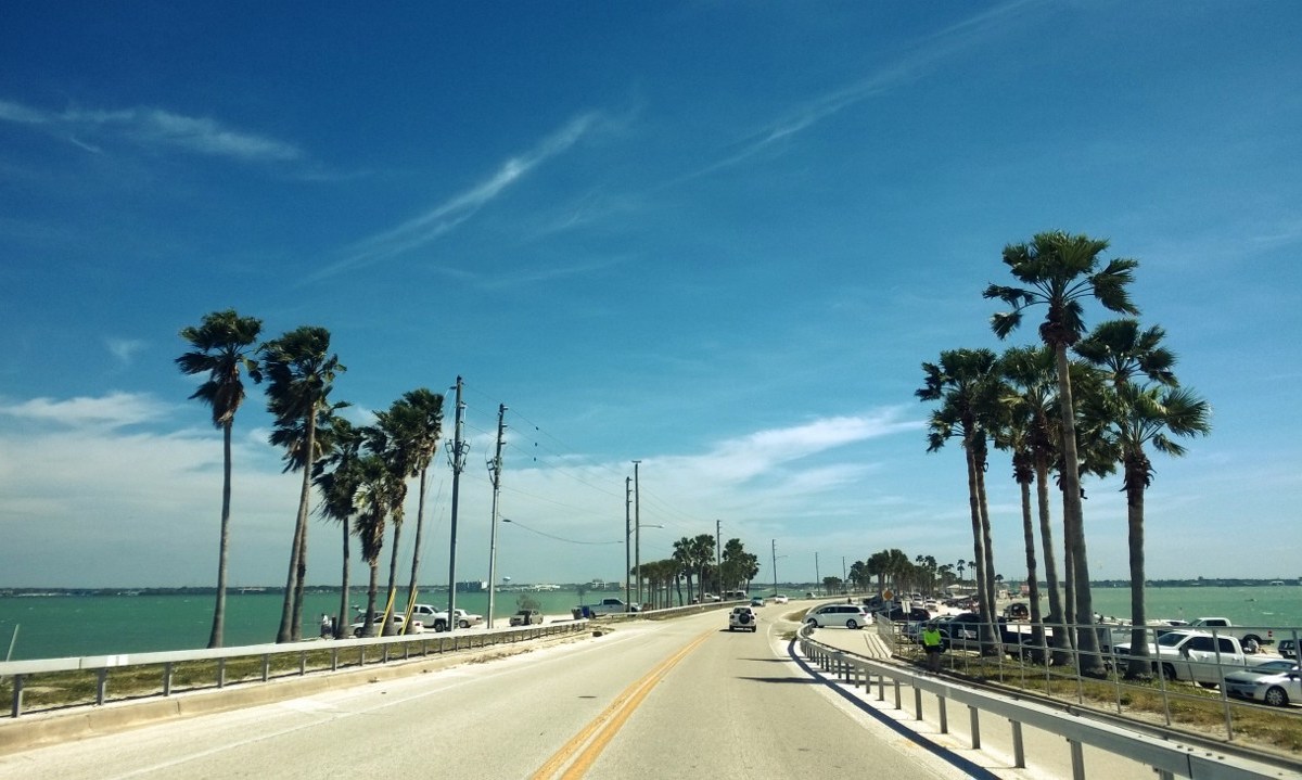Dunedin_Causeway_0