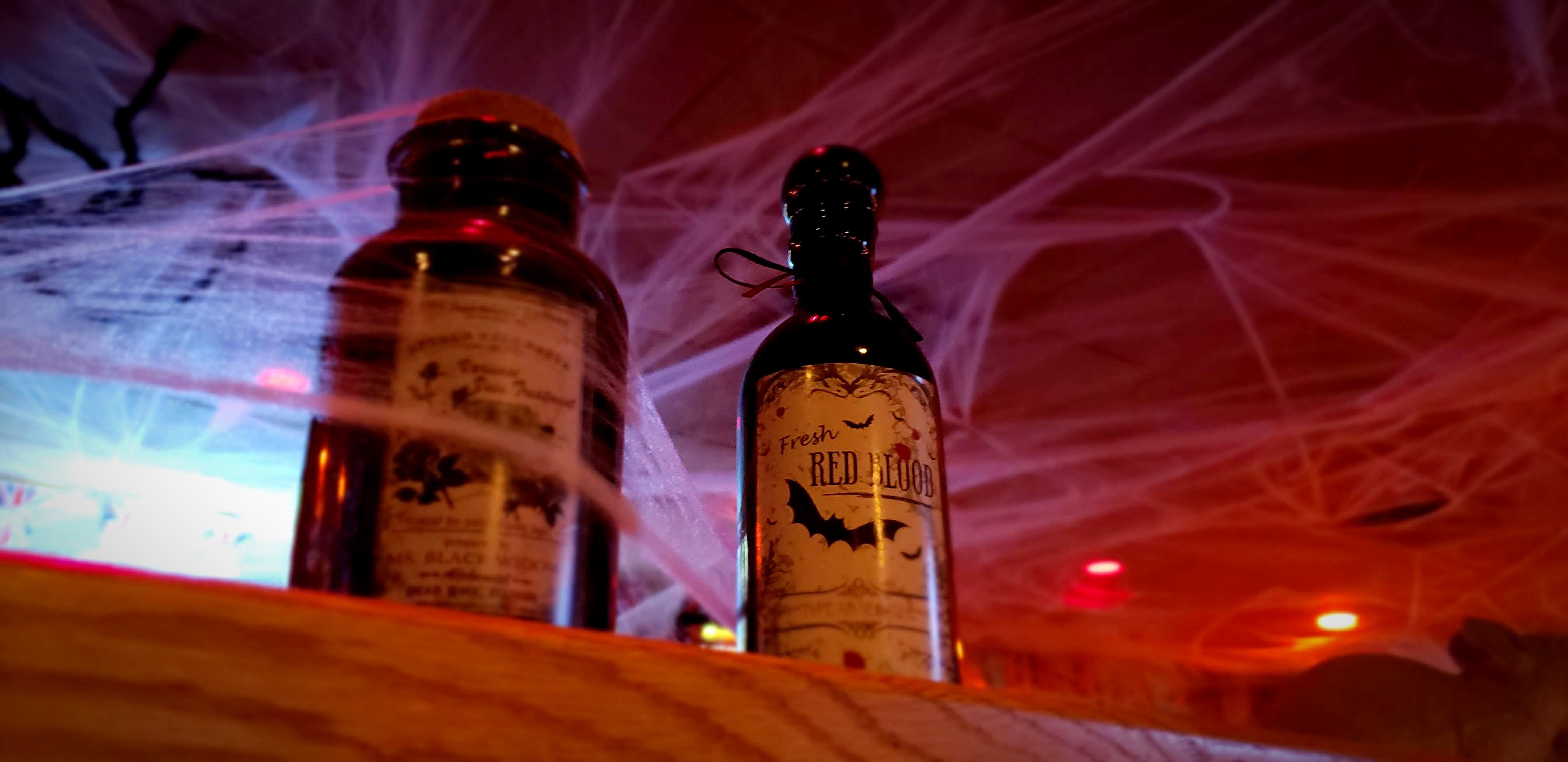 The Spirits of Halloween and Día de los Muertos Arrive in Dunedin